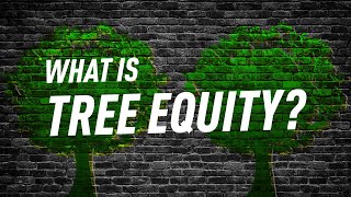 What "Tree Equity" Has To Do With Our Climate Crisis | The Recount