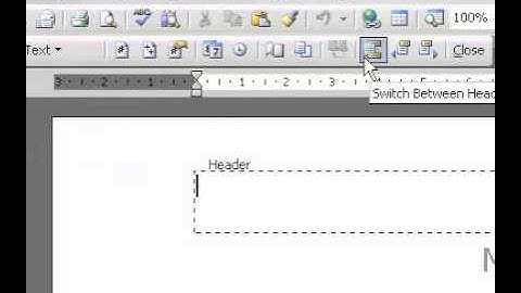 Microsoft Office Word 2003 Format page numbers on view