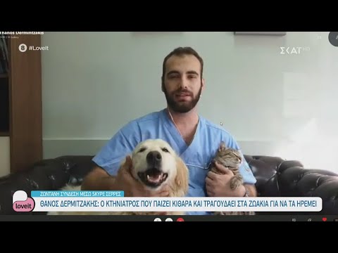 Βίντεο: Ο κτηνίατρός σας πληροί τα πρότυπα για φροντίδα
