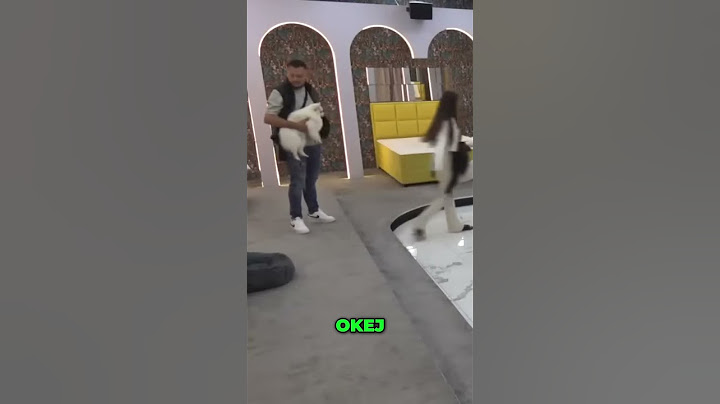 Elita 8 : Anđela prekida svaki odnos sa Gastozom ko se na mleko opeče i u jogurt duva?#elita