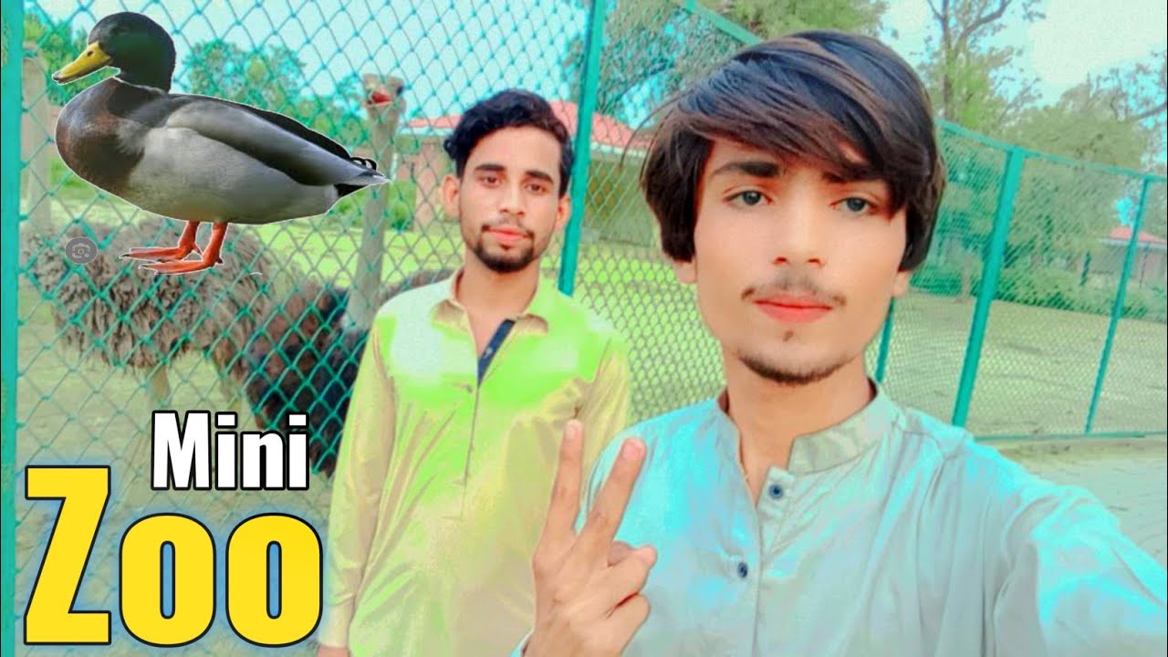 Ducky Bhai Ki Family Mini Zoo Mai😃 YouTube