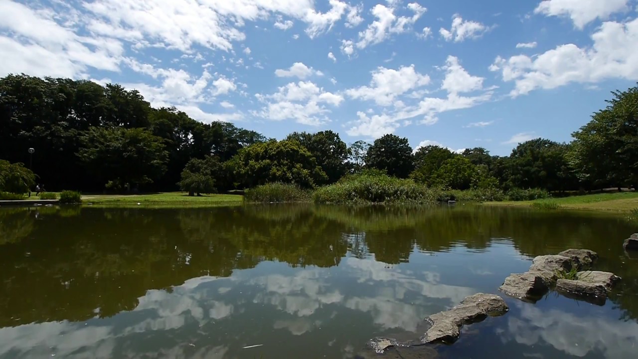 商用利用可能 癒しの自然動画フリー素材no 007夏の青空と雲と池の風景 無料映像素材 Youtube