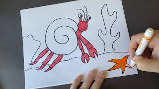 How To Draw A Hermit Crab