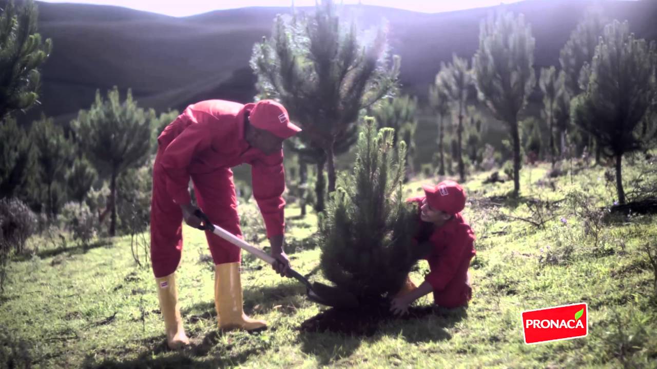 Juntos podremos salir adelante
