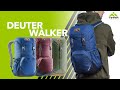 Рюкзак Deuter Walker