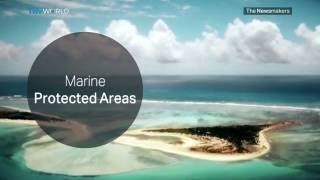 The Newsmakers: Protecting the World's Oceans