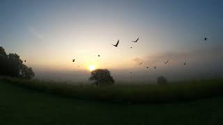 Sun Rise 7 14 25 67F19C