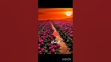 ❤️سورة الإنسان ❤️القارئ عبدالباسط عبدالصمد