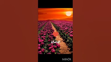 ❤️سورة الإنسان ❤️القارئ عبدالباسط عبدالصمد