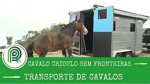 O que é preciso para transportar um cavalo?