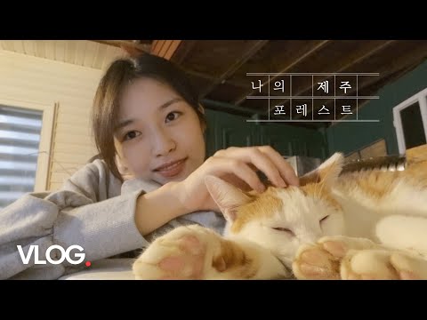제주 브이로그 🏝 태풍 오는 날, 백신 맞고 <strong>와서</strong> 냥이들과 힐링하는 본가 VLOG | 바라던 <strong>바다</strong>