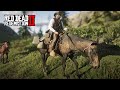 Como pegar esse MESTIÇO HUNGARO SELADO E EQUIPADO? How to get this horse?-  Red Dead Redemption 2