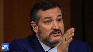 JUST IN: Ted Cruz UNLOADS on Biden over infrastructure spending