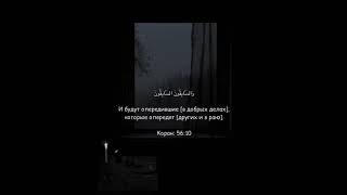 Ахмад Абу Мухаммад