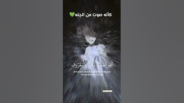 "تلاوة المنشاوي تلامس القلب"