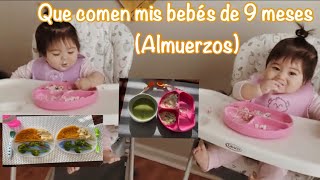 (Segunda parte) que le doy de comer a mis bebes de 9 meses?? || almuerzos y cenas