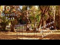 Autumn Colours Part Three, Borrello Park, Roleystone, Western Australia