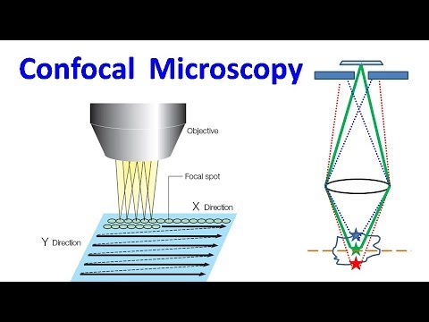 Video: Ako funguje laserový skenovací konfokálny mikroskop?