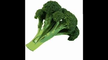 DRAM - Broccoli feat. Lil Yachty (Official Music Video)