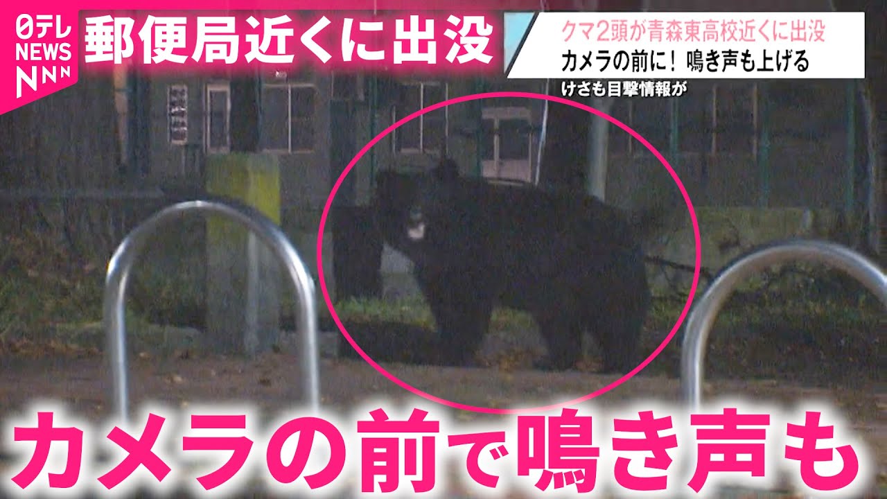 クマ】郵便局の前に親子熊 