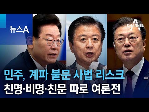 <strong>민주</strong>, 계파 불문 사법 <strong>리스크</strong>…친명·비명·친문 따로 여론전 | 뉴스A