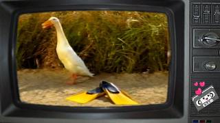 Optus Never Pay Line Rental Again Commercial 2007