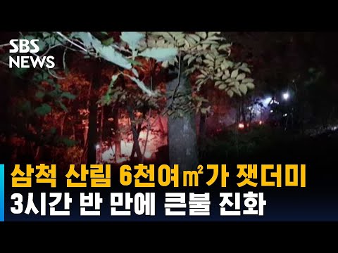 삼척 산림 6천여㎡가 잿더미로…3시간 반 만에 큰불 진화 / SBS
