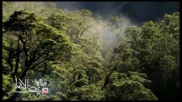 من روائع التلاوات مع الدعاء القارئ:غازي السعدون