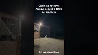 Un Tramo Del Antiguo Camino A Tetela