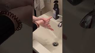 IMG 0919