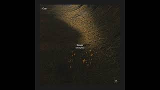 Gryr - Shimmer (feat. Adna)