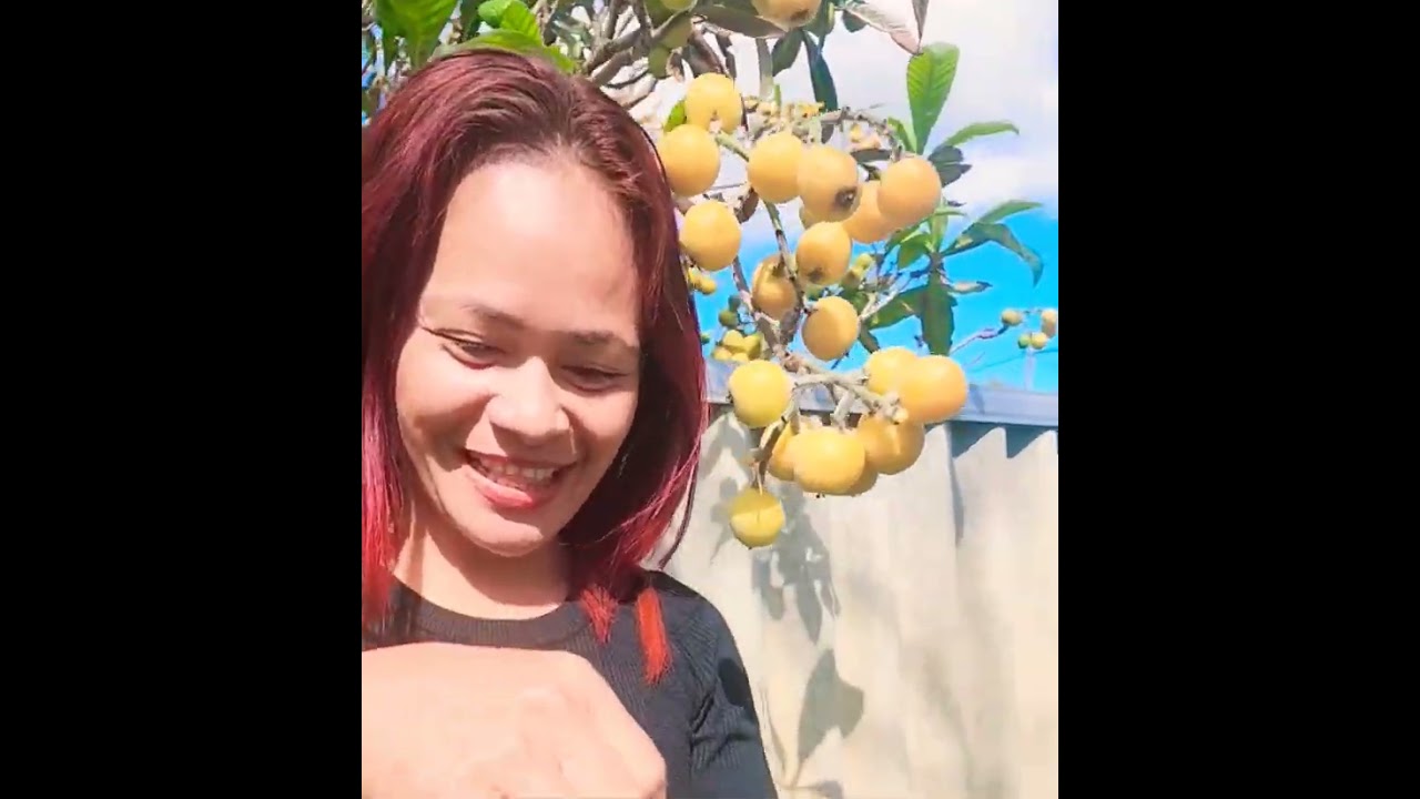 Sweet Yummy Herbal Tea Fruits 