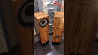 Раритет в “ЗЕНИТ Hi-Fi”… высокочувствительная акустика из Австрии WLM “Diva” и “Diva Control”.