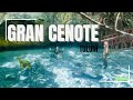 ✅ GRAN CENOTE, TULUM 🐢🐢| Cenote favorito | ¿Precios? ¿Cómo llegar?