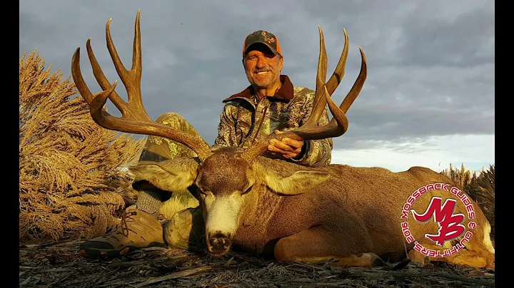 Giant Bucks from the Henry Mountains and Paunsaugunt