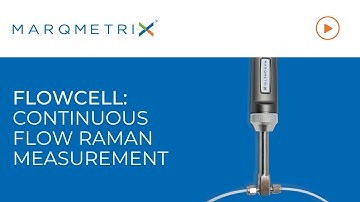 Inline Continuous Flow Raman Measurement with FlowCell