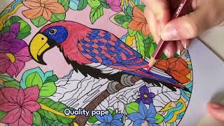 Figured Art Adult Colouring Book - Animal Universe