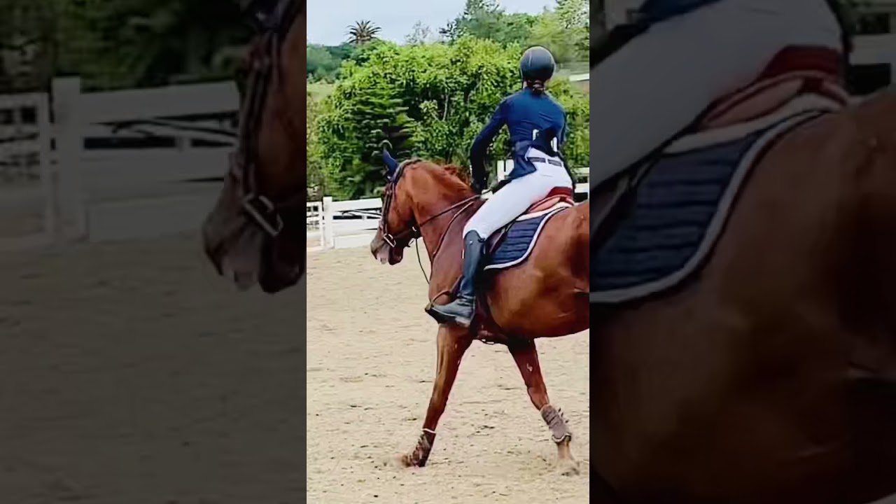Victory Series Horse Show jumping Vlog- 