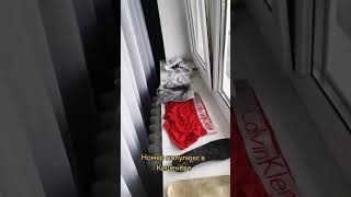 Номер полулюкс в Кишенёве после побега из Украины