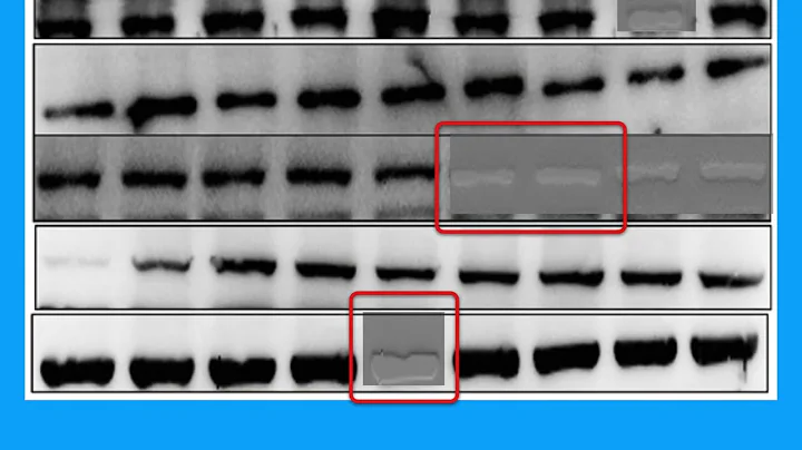 258B00E8B6D232C0AB4DCE36EC00A3#1