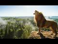 @FTA-Global, Back to the wild! #MarketingJungle 🦁