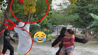 el protector de bananas 🦍🍌😂