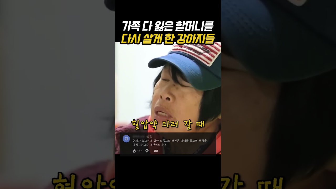 가족 다 잃은 할머니를 다시 살게 한 강아지들