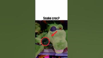 Snake croc?