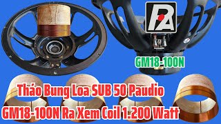 Tháo Bung Loa Paudio GM18-100N Xem Coil 1.200 Watt Tháo Bung Loa Paudio GM18-100N Xem Coil 1.200 Watt