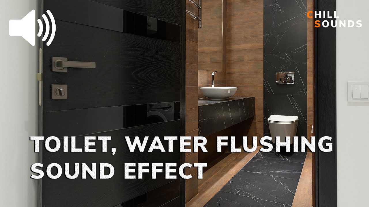 TOILET, WATER FLUSHING SOUND EFFECT