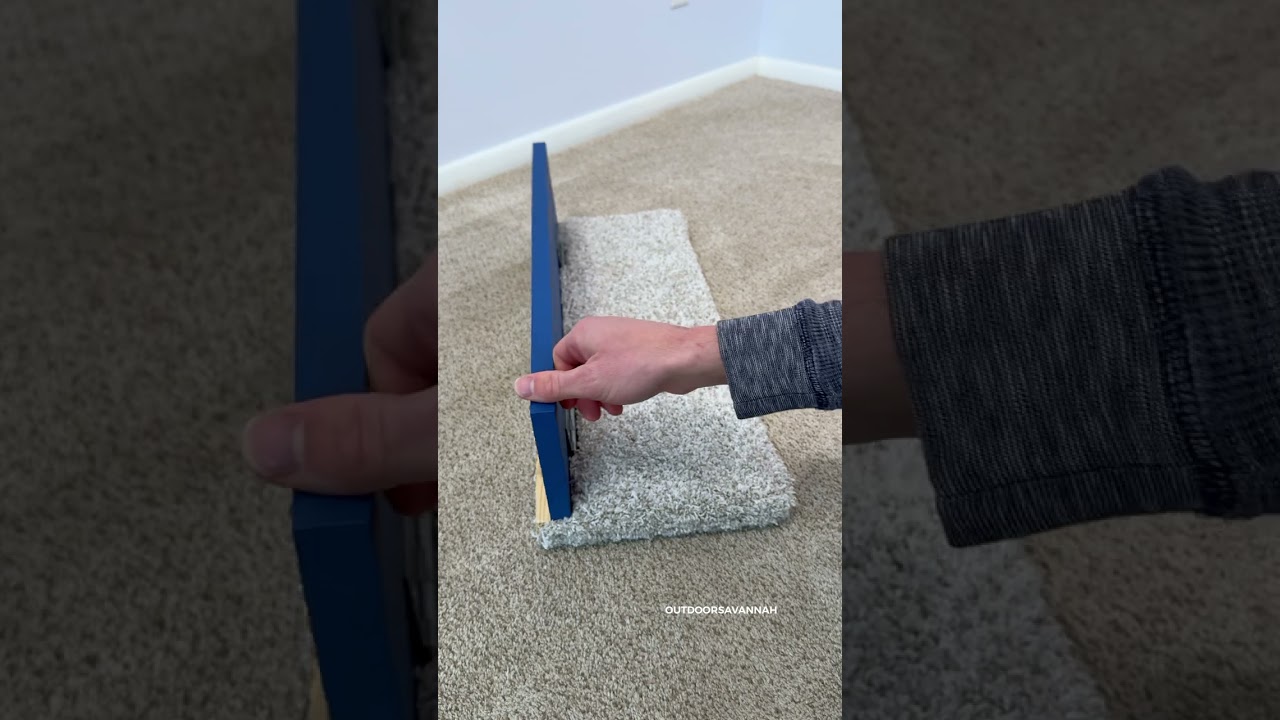 Movable Shelves for a Cat 