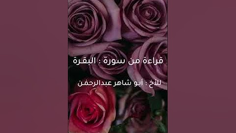 قراءة من سورة البقرة للأخ أبو شاهر عبد الرحمن