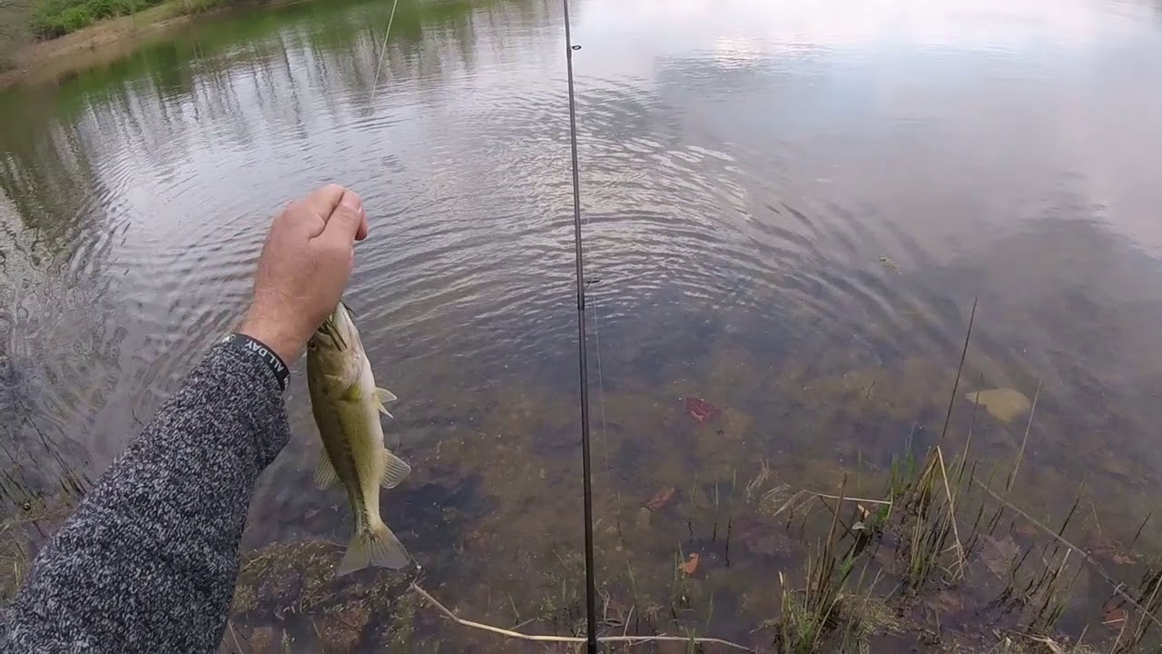 Fishing Gravel Pit YouTube