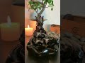 YOGA AND MEDITATION WITH TIKTOK VIRAL PRODUCT ZENDAI邃 YOGA AND MEDITATION WITH TIKTOK VIRAL PRODUCT ZENDAI邃